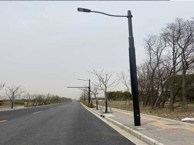 武穴市上海综合杆 太阳能路灯工程